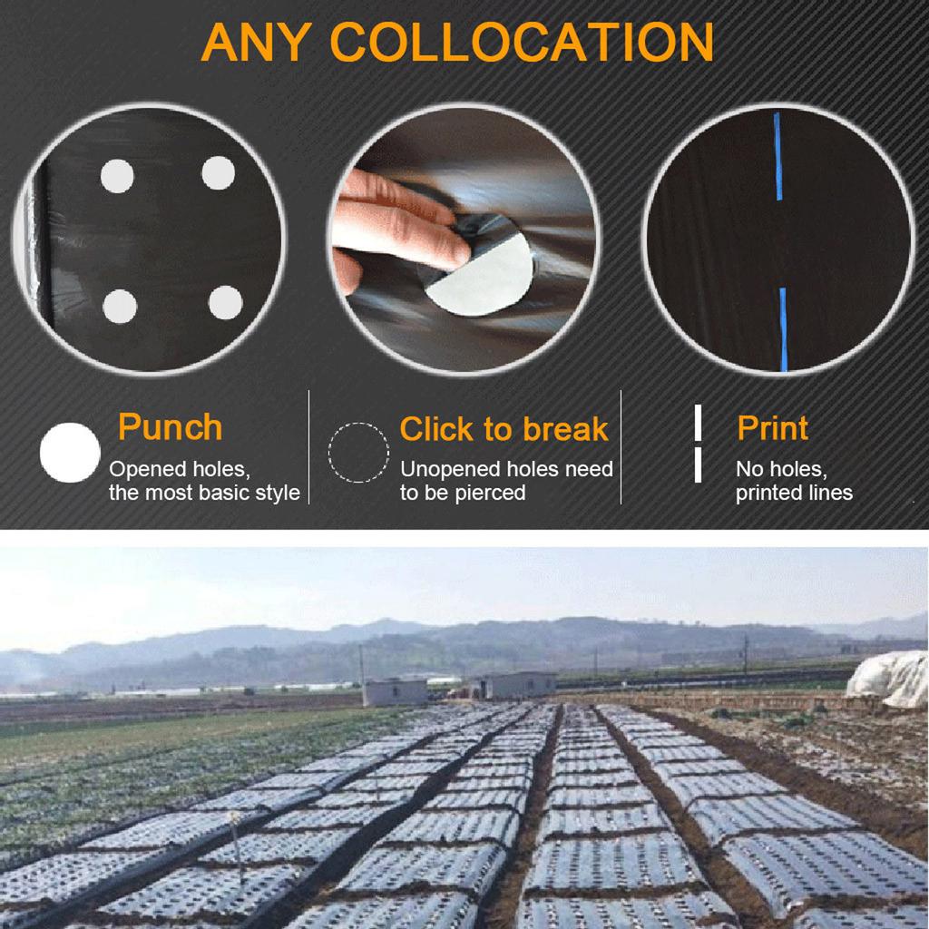 Пластиковая перфорированная мульча PE сельскохозяйственная изоляция перфорированная пленка