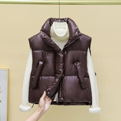 Новый осенне-зимний женский модный жилет из хлопка, свободный и универсальный жилет из хлопка для верхней одежды