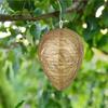 Decoys Hanging Deterrents Fake Cloth Bee Decoy Deterrent For Home And Garden Outdoors