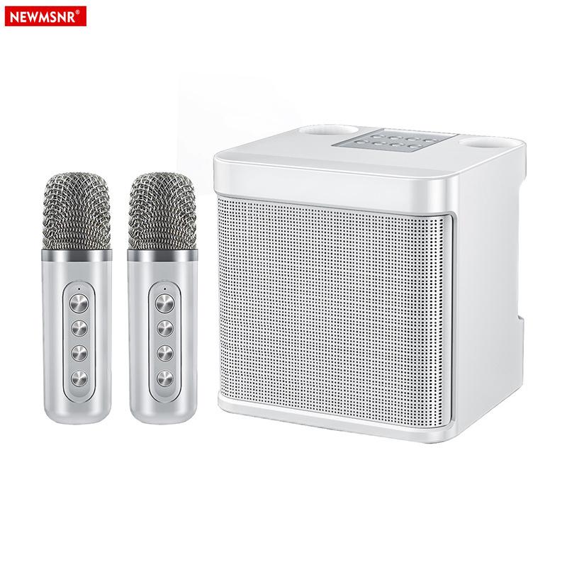 20W Powerful Wireless Portable Dual Microphone Bluetooth Sound Outdoor Family Party Karaoke Subwoofer Boom Box with 2 Microphone