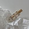 2/3/4/6 шт. ацетатные заколки для волос в Корейском стиле, золотисто-белые блестящие заколки для волос, головные уборы для девочек и женщин, аксессуары для волос