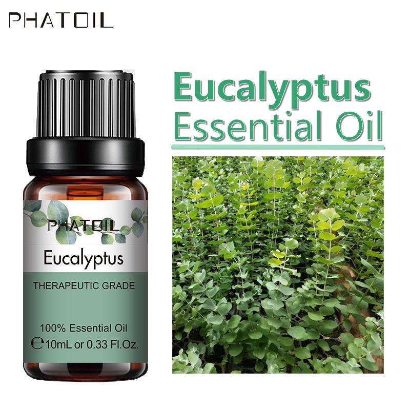 PHATOIL 5 мл / 10 мл / 15 мл / 30 мл / 100 мл Эфирное масло с чистым экстрактом растений эвкалипта для ароматерапевтических диффузоров Освежение воздуха для тела облегчает