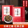 Concentrated honey flavor gold junmei Mount Wuyi black tea authentic tea new tea canned gift 500g