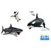 TAKARA TOMY Ania Sea Creature Hunter Set Animal Dinosaur Toy Ages AA-02 3+