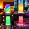 Touch Control RGB Bedside Lamp Dimmable USB Color-Changing Cozy Mood Lamp Fantasy Color Lamp for E-sports Events