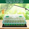 24/48 Holes Seedling Tray Kit with Adjustable Ventilation Lid Seed Starter Germination Box for Balcony Indoor Planting Transpla