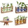 Wooden Hydroponic Vases Plant Vases Vintage Flower Vase Pot Transparent Vase Wooden Frame Glass Vase Tabletop Plants Home Decor