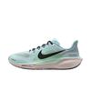 Кроссовки мужские Nike Air Zoom Pegasus 41 Glacier Ice Mint Foam Синий Гипер-Розовый Черный FD2722-406