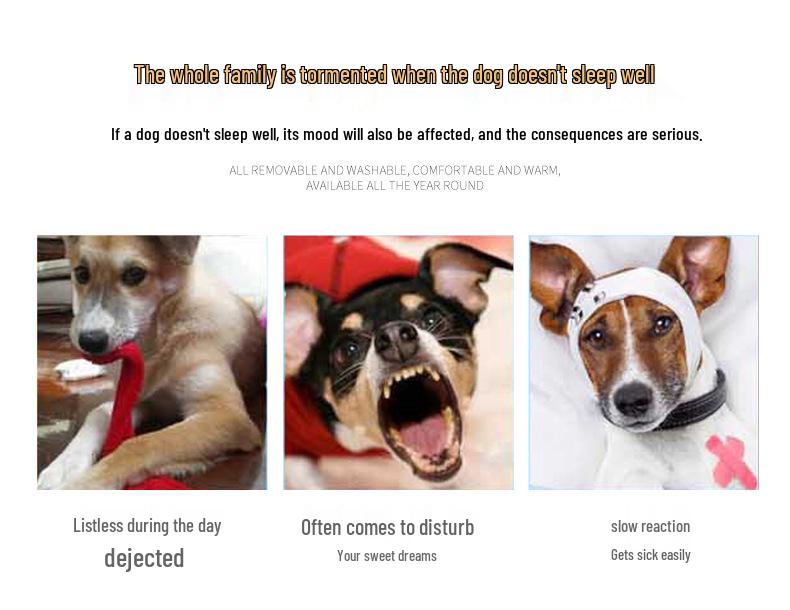 Candy Color Multi-Size Pet Bed: Cozy Four-Season Spot for Cats & Dogs