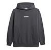 Superdry Micro Logo Graphic Loose худи