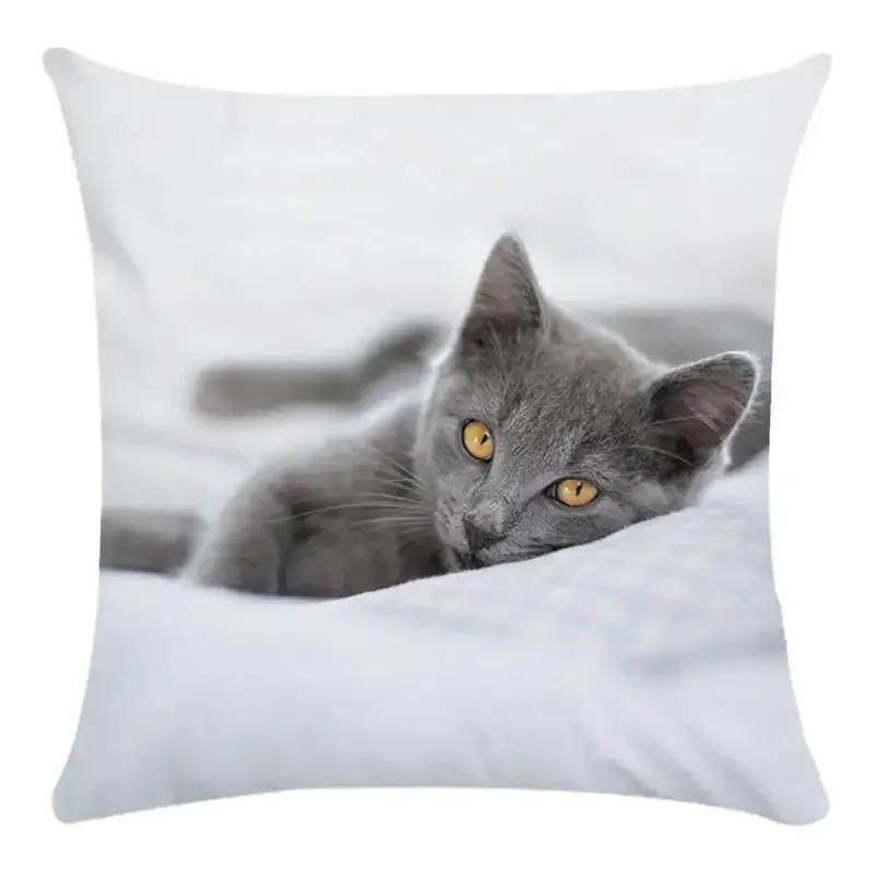 Cute Cat Pattern Of Animals Double-Sided Printed Pillow Cover Short Plush Suitable Living Rooms Bedrooms Throw Cushion Cover