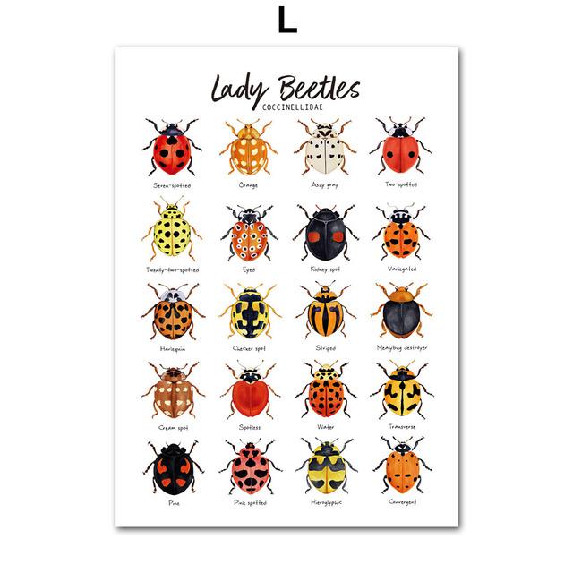 Насекомые, птицы, бабочки, сафари, образовательные плакаты с животными и принты, холст, украшение для детской комнаты, домашние картины, детская комната