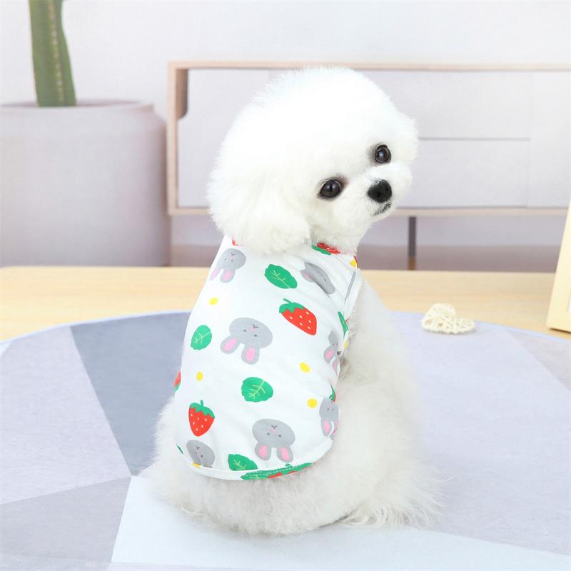 Sweet Print Sphynx Cat Vest T Shirt Summer Cotton Pet Clothes for Cats Gotas mascotas Clothing Katten Kedi Costume vetement chat