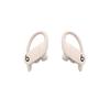 Beats Powerbeats Pro Wireless Earbuds with Apple H1 Chip