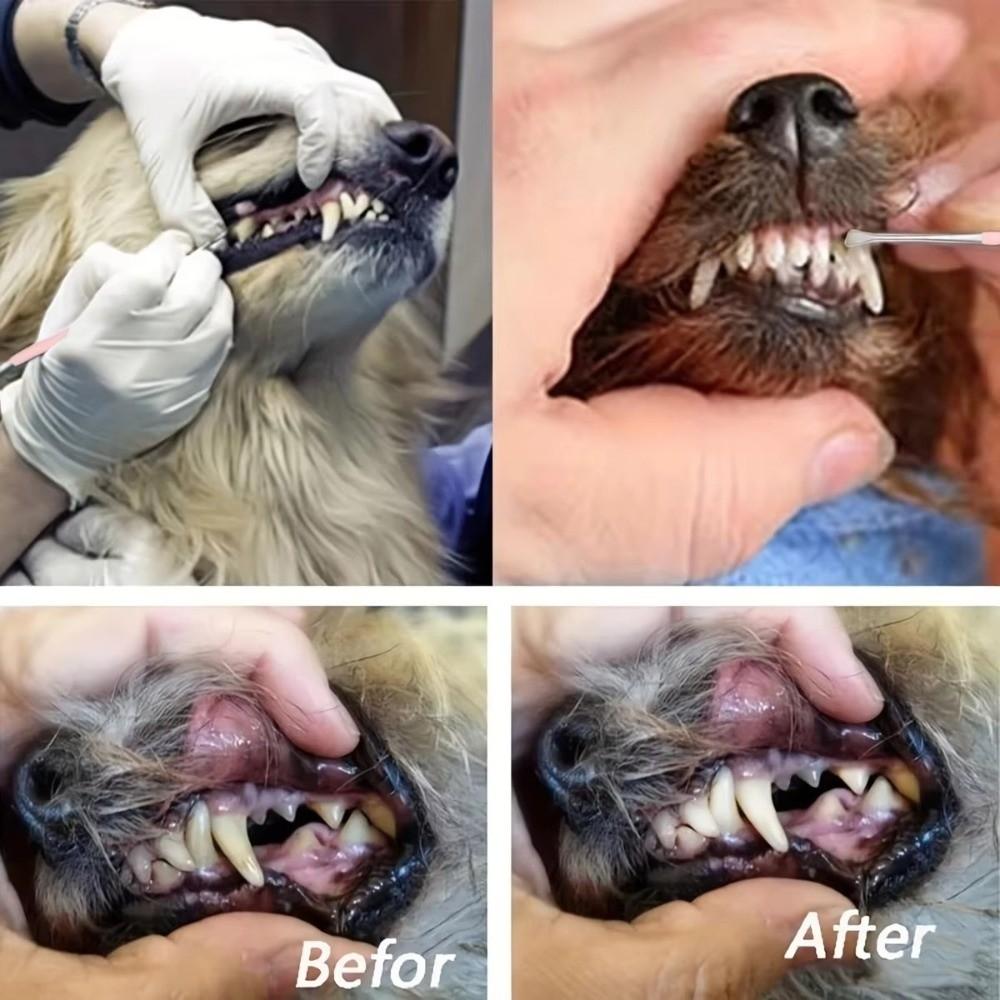 Stainless Steel Dog Tartar Remover Dental Cleaning Pet Oral Cleaning Tool Double Headed Scraper