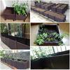 Raised Planter Grow Box Rectangular Flowerpot Elevated Garden Bed Garden Pots & Planters Vegetables Flowers Plants Grow Elevated