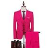 2024 Men's Slim Fit Korean Style Wedding Tuxedo - Two-Button Business Casual Suit Set