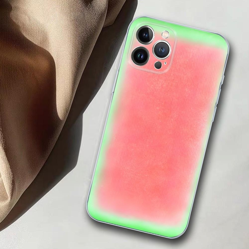 Watermelon Pattern Phone Case For iPhone 14 11 12 13 Mini Pro XS Max Cover 6 7 8 Plus X XR SE 2020 Funda Shell