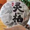 Haiwan The Gathering of Plant Spirit Raw Puer Excellent Shen Puerh Tea 400g