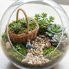 4 шт. Плетеная мини-корзина из ротанга, маленькая цветочная корзина с ручкой, для свадебных вечеринок, декора, поделок своими руками и украшений для кукольных домиков