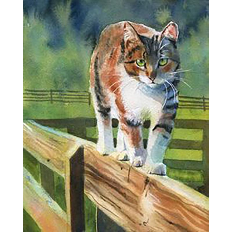 DIY 5D Diamond Painting Animal Full Round Cat Diamond Embroidery Art Rhinestone Picture Mosaic Decoration Gift Home Decor