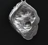 Tibetan Mastiff, Do khyi - Dog necklace, unique jewellery for the dog fan, unique adder pendant by Art-Dog brand