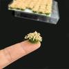 Railway Train Static Flower Tufts ABS Plant Materials Flower Grass Model  Micro Landscape