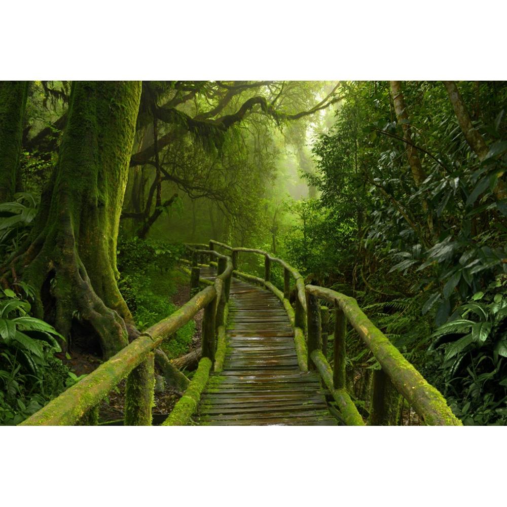 Spring Forest Backdrop Tropical Jungle Rainforest Backdrops for Photography Camping Adventure Birthday Background Photo Studio