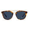 Gafas de Sol Redondas de Acetato PLD2113SX para Hombre