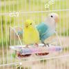 Bird Transparent Feeder Feeding Basin With Antiskid Stand Bowls Acrylic Bird Cage Feeder Fixed Food Bowl Parakeets Feeders