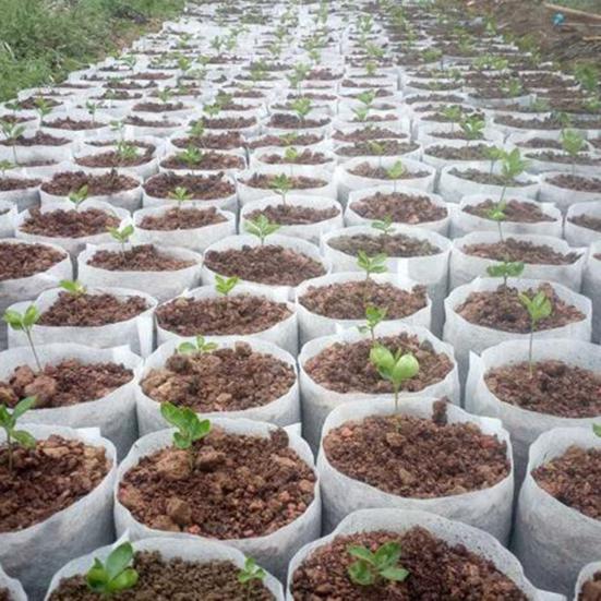 100 шт., сумка для детской, экологически чистая, с высокой выживаемостью растений, портативная сумка для трансплантации, для выращивания цветов