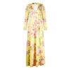 Spring and Autumn Women's Dress V-Neck Printed Swing Dresses Long Dresses