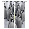 Modern Window Curtains Cute Animal Penguin Curtains Living Room Decor Curtains for Living Room Luxury Home Decor
