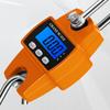 Professional Heavy Duty Weight Balance LCD Digital Scale Crane Scale 300kg Electronic Scale