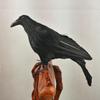 Яркие Искусственные Декоративные Птицы Реалистичный Ворон Птица Животное Украшение для Дома Сада Миниатюрное Украшение