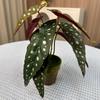 Potted Turtle Back Bonsai: Faux Floor Plant Decoration - Small Green Simulation Ornaments for Living Room