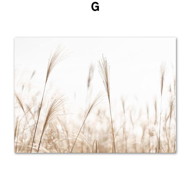 Пляжная тростниковая ракушка, цветочная линия, обнаженная девушка, плакаты на скандинавскую тему и принты, настенная живопись на холсте, настенные панно для декора гостиной