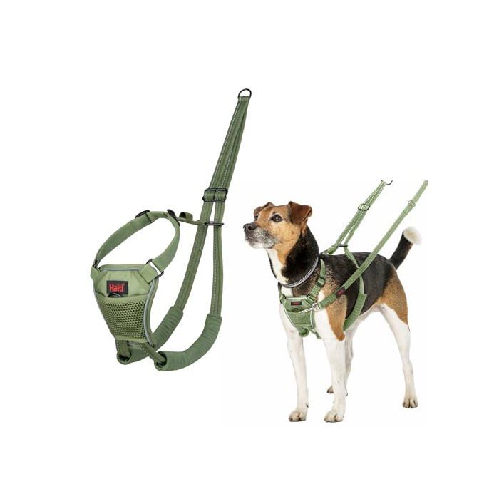 Harnais anti-traction pour chien - Halti - Réfléchissant - Sangle rembourrée - Taille S - Vert Forêt - Camouflage