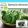 Подарочный набор - Органический - Шпинат - Матадор - 300 семян - С подарочной коробкой, карточкой, этикеткой и субстратом для горшков - Spinacia oleracea