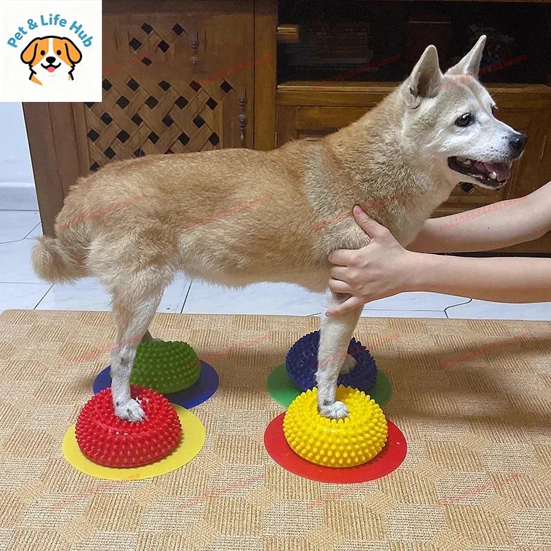 AVC Dog Hemispherical Paw Pad Trainer Balance Correction Muscle Recovery For Knee Patella Lumbar Spine Pet Rehabilitation