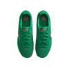 Nike Gato Кожаные Удобные Круглый Носок Дышащие Низкие Тренировочные Кроссовки Мужские HQ6020-302