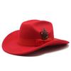 Молодежный цилиндр для мужчин и женщин с большими полями шерстяная шляпа с перьями