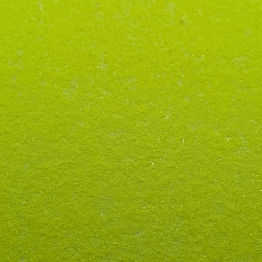 SUNDRY Outdoor 5cm Wide x 5m for Slippery Areas like Stairs and Entryways Anti-Slip Tape, Fluorescent, Long,