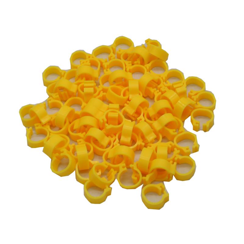 400 Pcs 8mm Bird Foot Clip Ring Pigeon Training Tools 10 Colors Bird Parrot Feeding Identification Foot Ring Animal Supplies