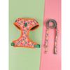Valentine's Day and New Year's Gift Cute Design Adjustable Luxury Designer Pet Harness &1 Pcs Color Matching Pet Dog Leashes