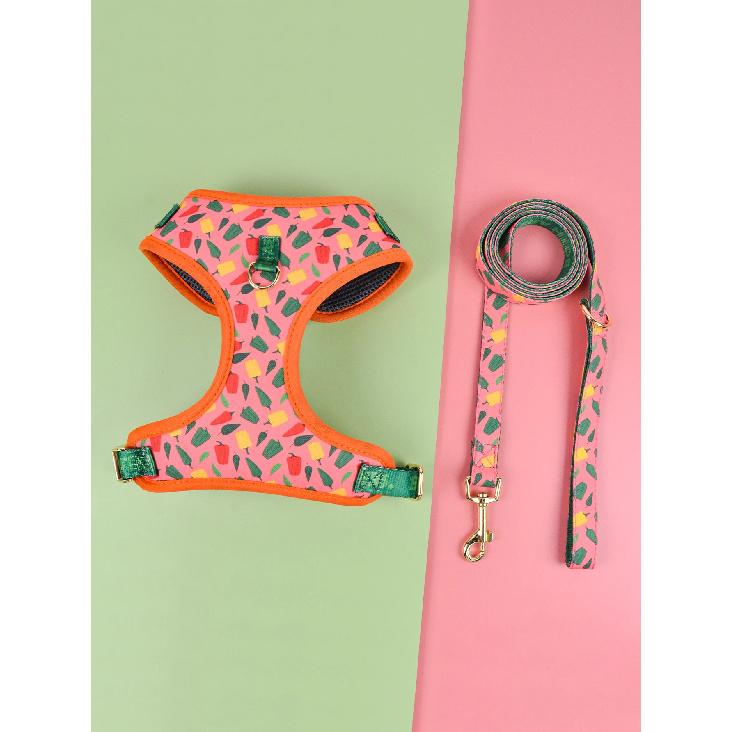 Valentine's Day and New Year's Gift Cute Design Adjustable Luxury Designer Pet Harness &1 Pcs Color Matching Pet Dog Leashes