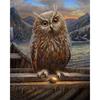Полная круглая Алмазная картина 5D DIY Животное Сова Алмазная вышивка