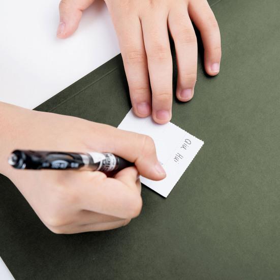 120 шт., подвесная папка для файлов, 200 вставок, прозрачные пластиковые вкладки, регулируемые этикетки, легко читаемый дизайн, подвесной