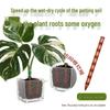 Прозрачная трубка для аэрации почвы: Предотвращает гниение корней, Улучшает вентиляцию, Поддерживает цикл влажно-сухо для более здоровых растений