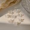 Temperament Small Side Clip Transparent Hair Claw Korean Style Hair Clip Women Hair Accessories